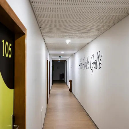 Cis Lamourelle Centre International De Sejour * Καρκασόν