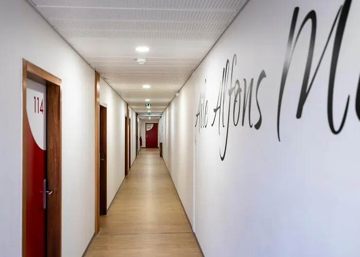 Cis Lamourelle Centre International De Sejour