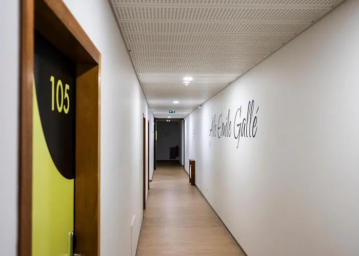 Cis Lamourelle Centre International De Sejour * Καρκασόν